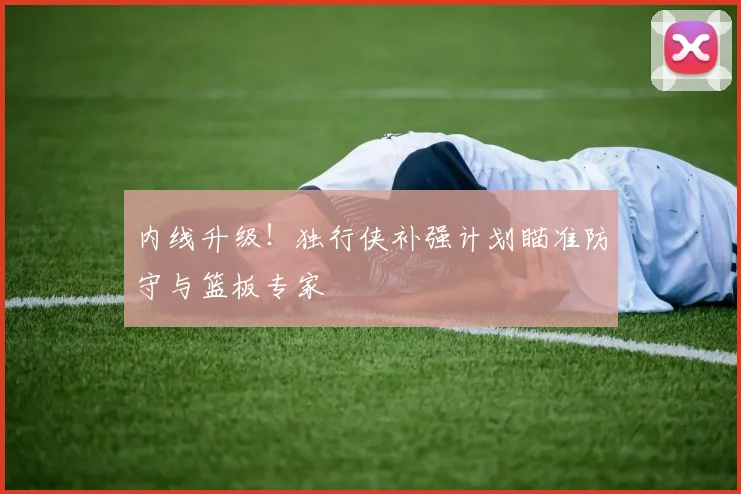 内线升级!独行侠补强计划瞄准防守与篮板专家
