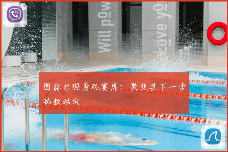 图赫尔现身观赛席：聚焦其下一步执教动向