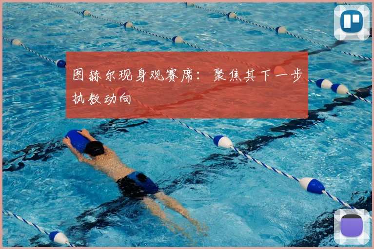 图赫尔现身观赛席：聚焦其下一步执教动向