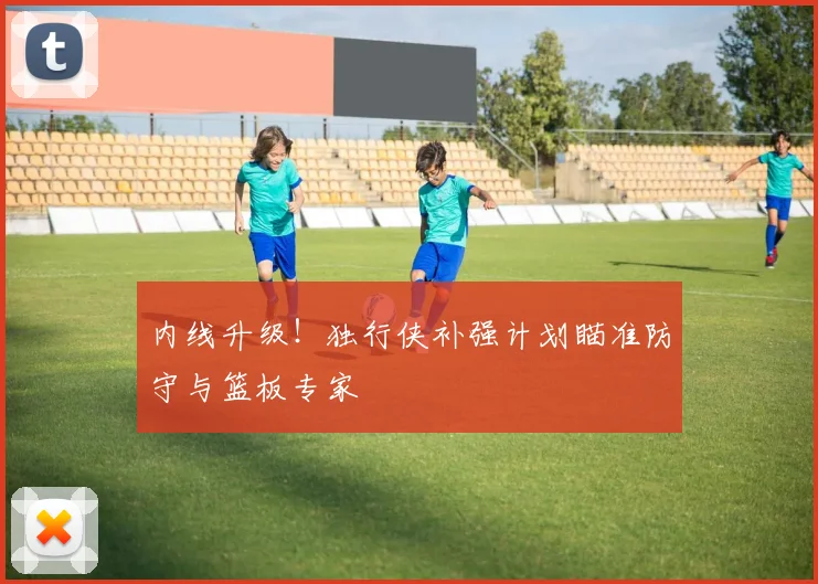 内线升级!独行侠补强计划瞄准防守与篮板专家