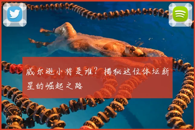 威尔逊小将是谁？揭秘这位体坛新星的崛起之路