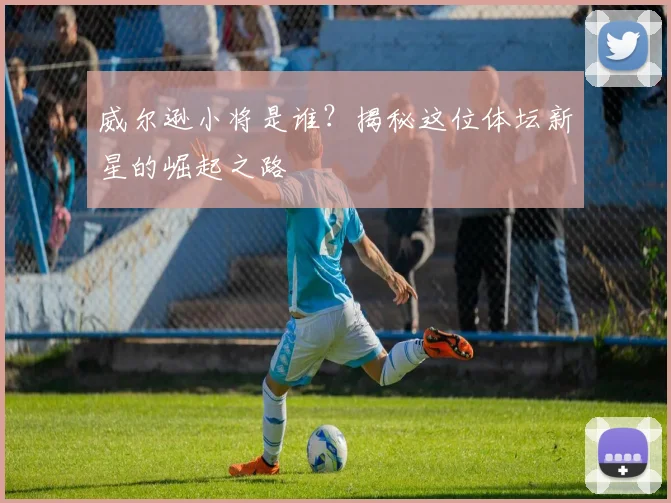 威尔逊小将是谁？揭秘这位体坛新星的崛起之路