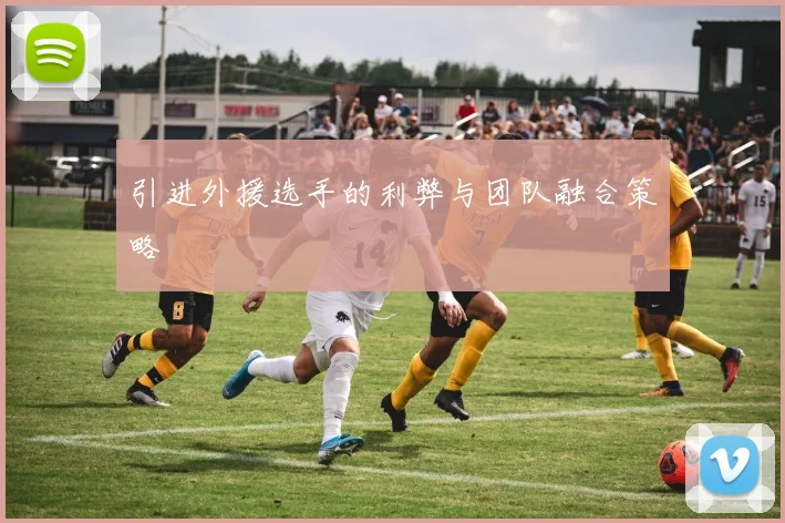 引进外援选手的利弊与团队融合策略